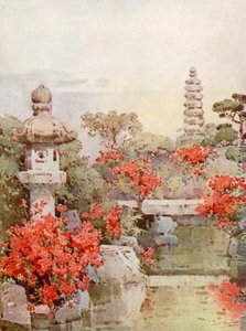 Azalia, Kyoto (kolor lito)