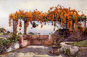Bignonia Venusta (kolor lito) autorstwa Ella Du Cane