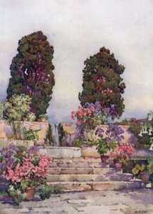 Ogrody Botaniczne, Orotava (członkowie kolorowi) autorstwa Ella Du Cane