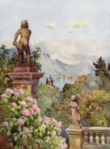 Hortensje, Isola Bella, Lago Maggiore (kolor lito) autorstwa Ella Du Cane