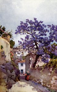 Drzewo Jacaranda (kolor lito) autorstwa Ella Du Cane