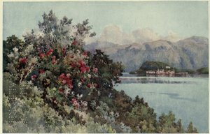 Róże, Villa Carlotta, Lago di Como, Ilustracja z „Włoskich jezior” Richarda Bagot autorstwa Ella Du Cane