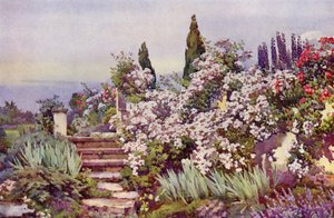 The Garden Steps (kolor lito) autorstwa Ella Du Cane