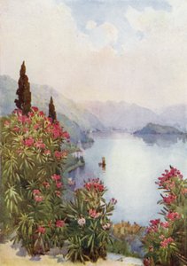 Villa Serbelloni, Jezioro Como (kolor lito) autorstwa Ella Du Cane