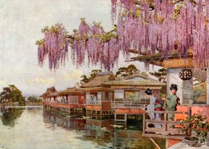 Wistaria, Nagaoka (kolorowa litografia) autorstwa Ella Du Cane