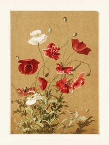 „Maki nr 3” autorstwa Ellen Thayer Fisher autorstwa Ellen Thayer Fisher