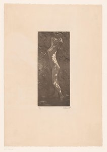 Naga kobieta w słońcu autorstwa Ellinnot (signed by artist)