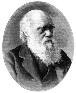 Karol Darwin, XIX-wieczny angielski przyrodnik, 1900.
