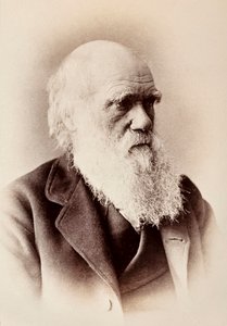 Karol Darwin: angielski przyrodnik