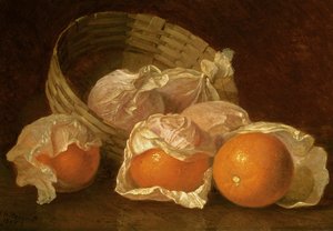 Kosz pomarańczy, 1895