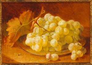 Winogrona na srebrnym talerzu, 1893 autorstwa Eloise Harriet Stannard