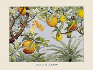 Solägget  Sollandet autorstwa Elsa Beskow