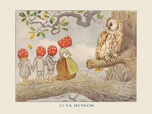 Dzieci z Tomtebo – Sowa