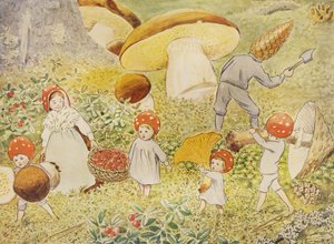 Dzieci z Tomtebo – Mushroom Kids