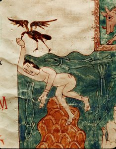 Kruk dłubiący przy martwym ciele autorstwa Emeterio the Monk