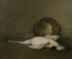 Dziki łabędź, 1902