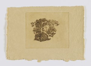 Studium drzewa (fm. portfolio) autorstwa Emil Carlsen