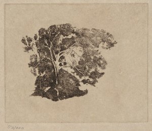 Badanie drzewa autorstwa Emil Carlsen