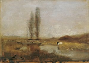Moorland w pobliżu Lundenburg autorstwa Emil Jakob Schindler