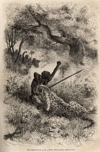 Lampart skacze na człowieka i gryzie go okrutnie w plecy, w okolicach Bambare (Kongo), rycina wg rysunku Emile
