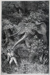 Livingstone zaskoczony przez słonia, w „Le Tour du Monde” autorstwa Emile Antoine Bayard
