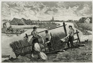 Rdza lnu (maceracja ułatwiająca oddzielenie kory od łodygi) w Lys (rzeka na północ od Francji i Belgii). Rycina Emile Claus, ilustrująca historię „La Belgique”, Camille Lemonnier (1844) -1913), pisarz i krytyk sztuki. autorstwa Emile Claus