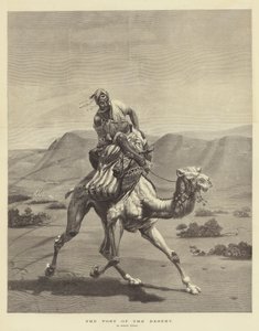 Poczta Pustyni