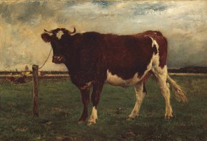 Studium krowy, 1870?90