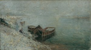 Łodzie rybackie na brzegu Dunaju