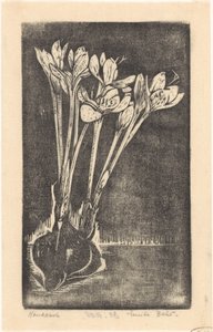 Jesienna ponadczasowa