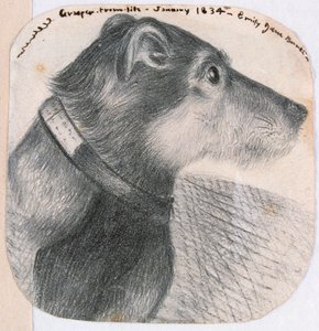 Chwytak z życia autorstwa Emily Bronte