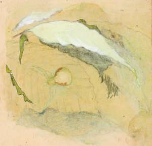 Porcelanowo-biały pająk autorstwa Emma Beach Thayer