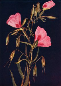 Pożegnanie wiosny, c1915, 1915