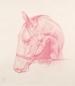 Portret głowy, 2010 (czerwona kreda na papierze)