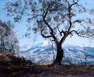 Okolice Menton, blisko Roquebrune, 1892