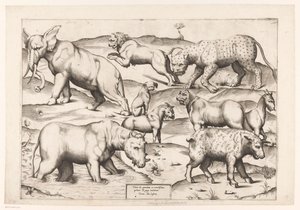 Dziewięć zwierząt Zwierzęta do antycznych malowideł ściennych (tytuł serii) Speculum Romanae Magnificentiae (tytuł serii) autorstwa Enea Vico (attributed to)