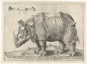 Neushoorn Nosorożec (tytuł na obiekcie)