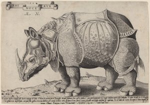 Nosorożec autorstwa Enea Vico after Albrecht Dürer