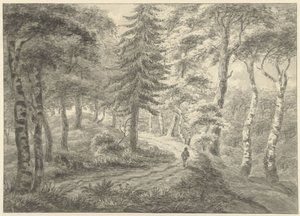 leśny widok autorstwa Engelbert Michaël Engelberts