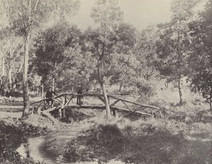 Rustykalny most, rezerwat wodny Ballarat autorstwa English Photographer