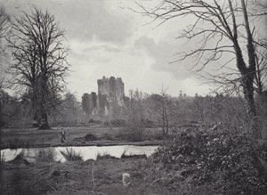 Zamek Blarney autorstwa English Photographer