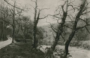 Bolton Woods autorstwa English Photographer