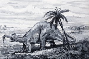 Brontozaur autorstwa English Photographer