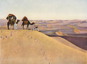 Wielbłądy na Saharze (kolorowe zdjęcie) autorstwa English Photographer