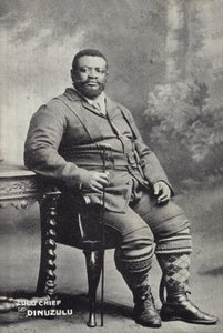 Cetshwayo kaMpande, król narodu Zulu autorstwa English Photographer