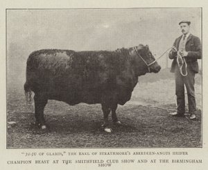 Champion Beast na wystawie klubowej Smithfield i na wystawie w Birmingham autorstwa English Photographer