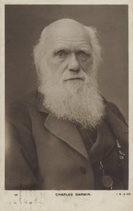 Karol Darwin (1809-1882), angielski przyrodnik autorstwa English Photographer