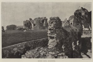 Zamek Denbigh, Denbighshire autorstwa English Photographer