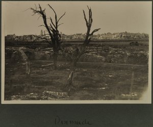 Dixmude, ok. 1916-19 autorstwa English Photographer