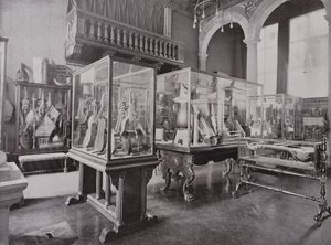 Muzeum Donaldsona, Royal College of Music autorstwa English Photographer